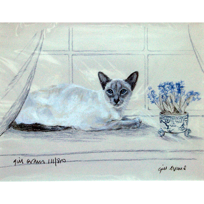 Blue Pt.Siamese Print