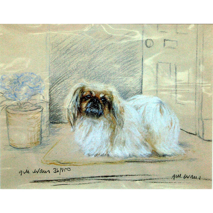 Pekingese Print