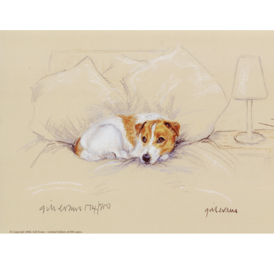 Terrier On Bed Print