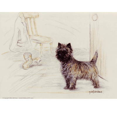 Cairn Terrier Print