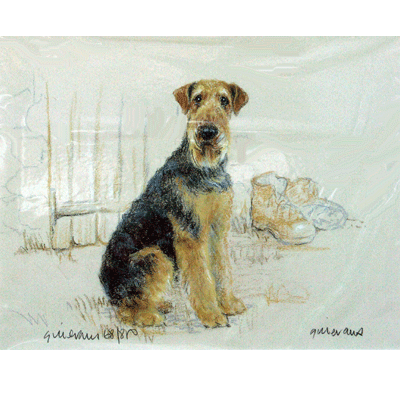 Airedale Print