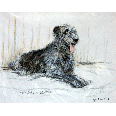 Irish Wolf Hound Print