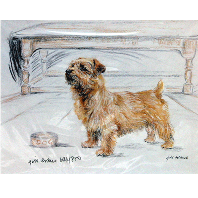 Norfolk Terrier Print