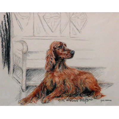 Irish Setter Print