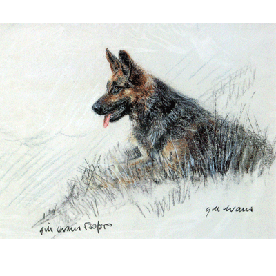 German Shepherd Print