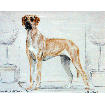 Great Dane Print