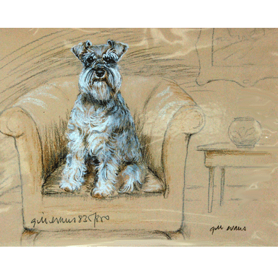 Schnauzer Print