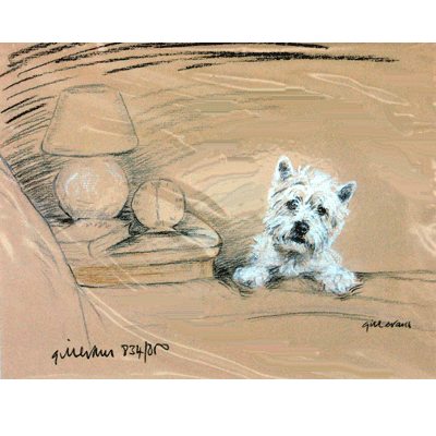 Westie By Bed Print