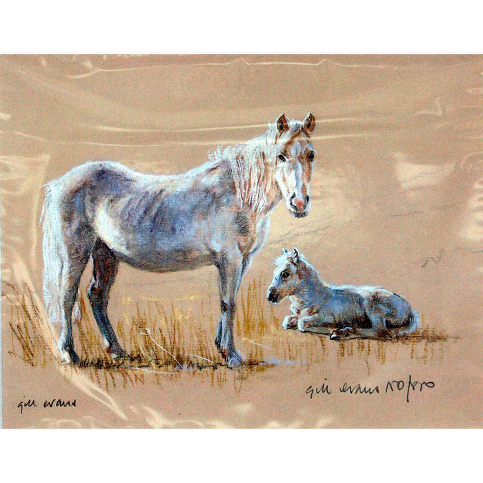 Mare & Foal Print