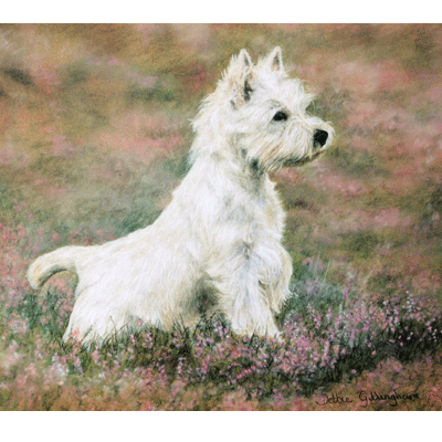 Paws For Thought (Westie) Print