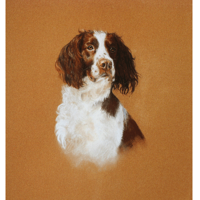 Springer Study Print