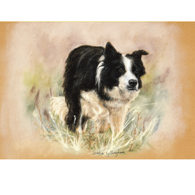 On Duty (Border Collie) Print