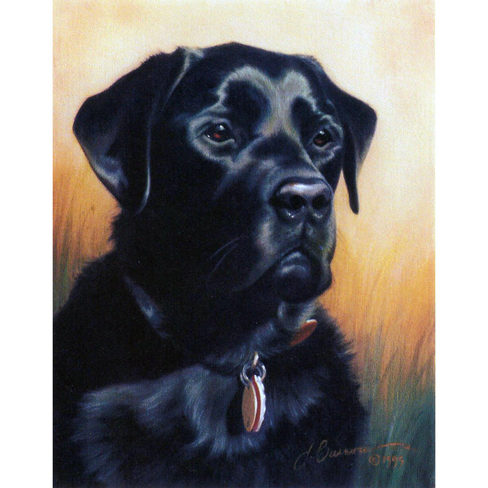 A Stalwart Fellow (Black Lab) Cards 6/Pack