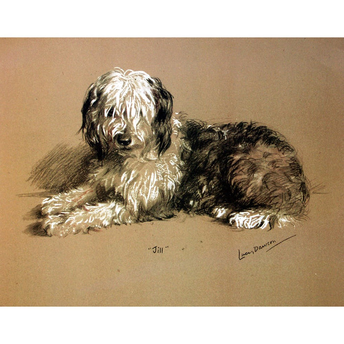 Jill (Old English Sheepdog) Print