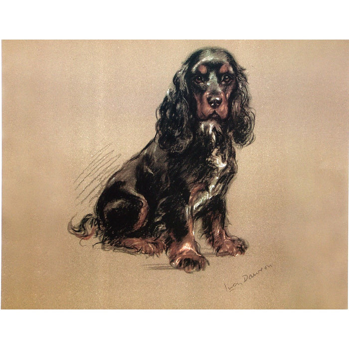 Spaniel (English Cocker) Print