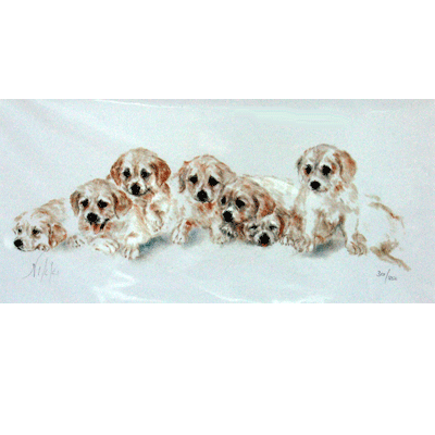 Golden Retrievers Print