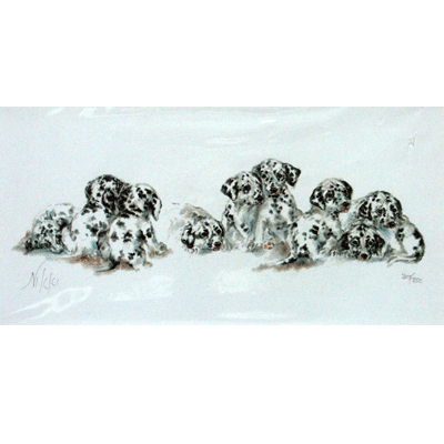 Dalmatians Print