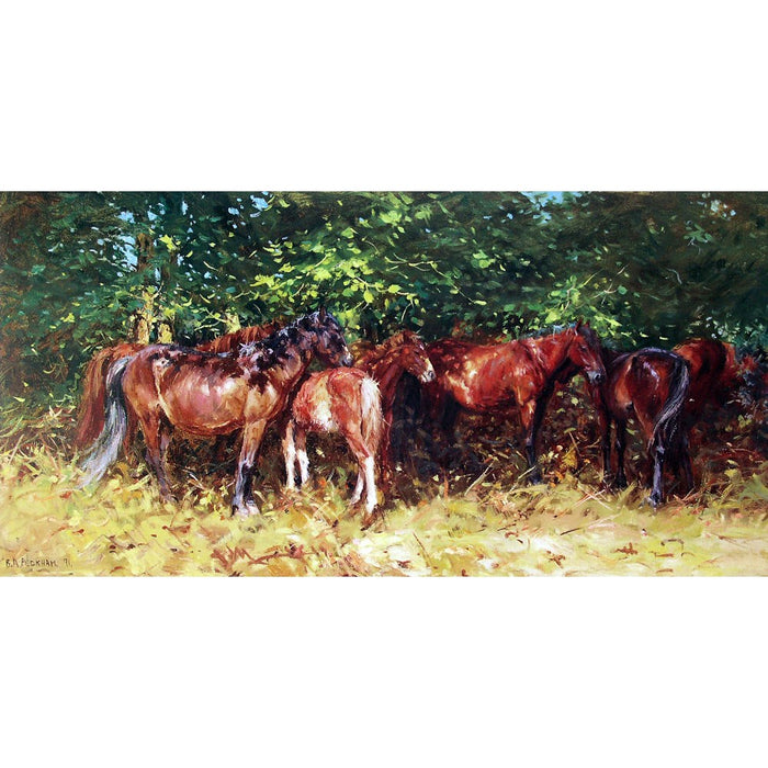 New Forest Ponies Print