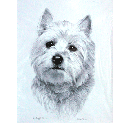 West Highland Terrier Print