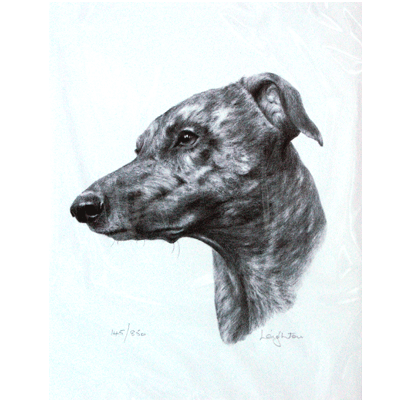 Greyhound Print