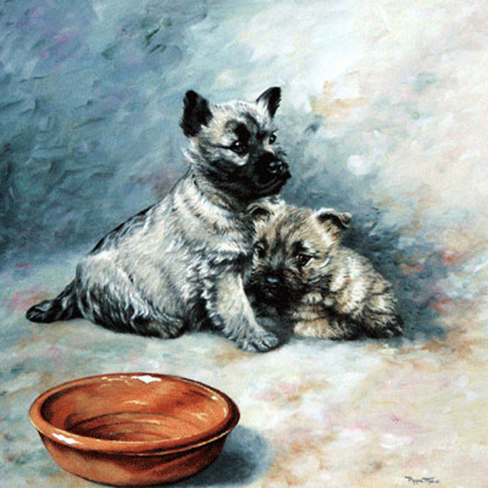 Big Brother (Cairn Terrier) Print