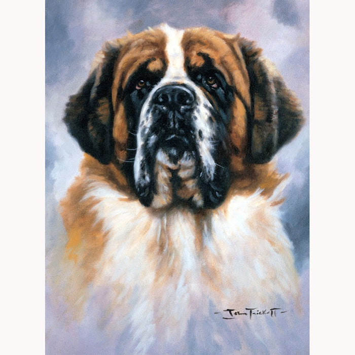 Saint Bernard Print