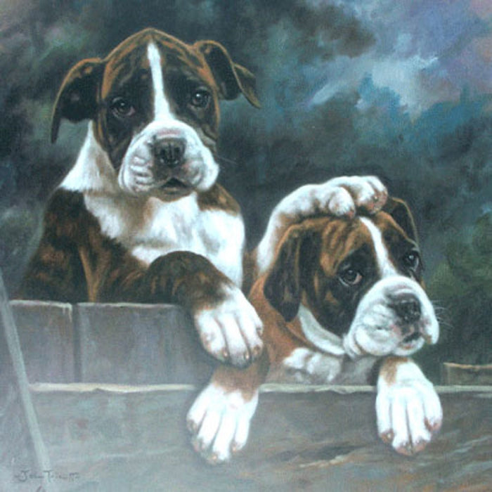 Southpaw (Boxer Pups) Print