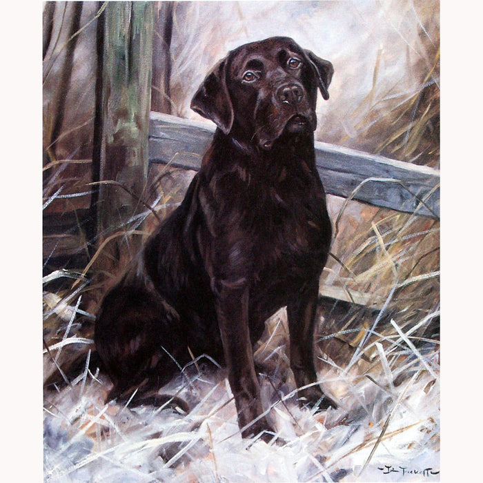 My Pal Chocolate Lab Print