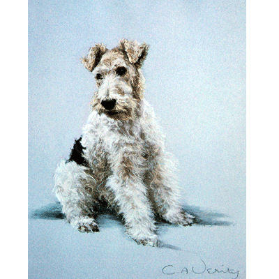 Fox Terrier Print