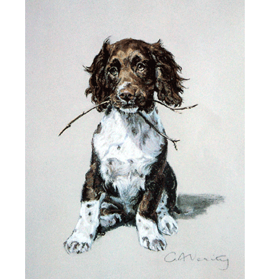 Springer Puppy Print