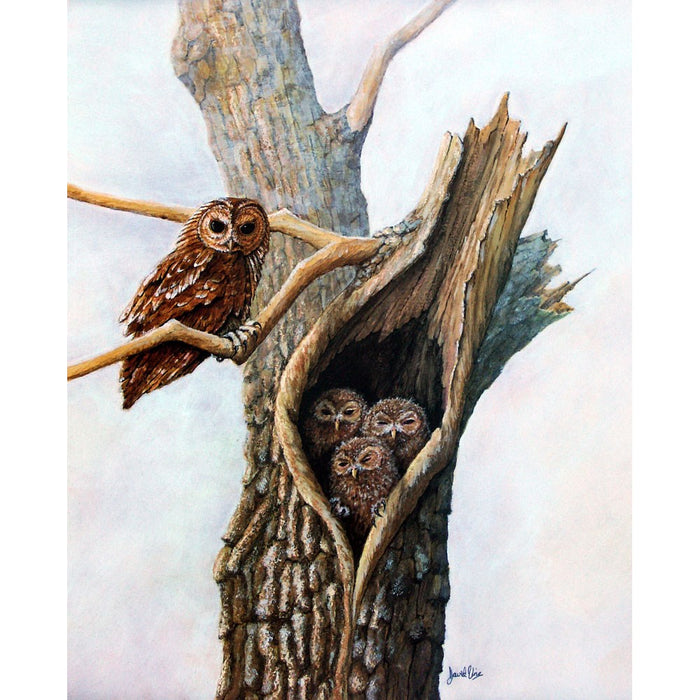 Family Tree (Owl) Print