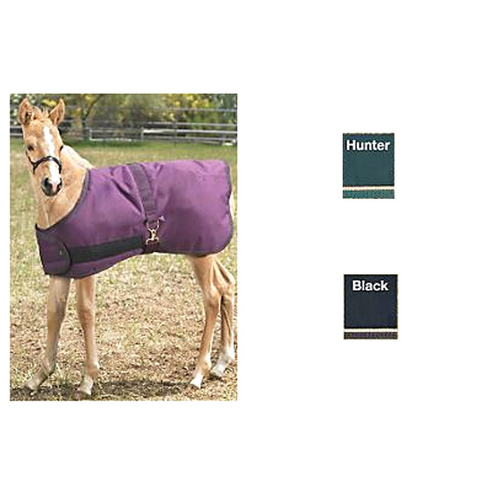 Kensington Foal Adjustable Turnout Blanket - Black/Black & Tan/28"- 42"