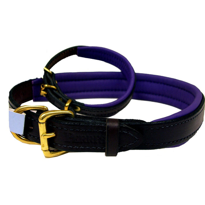 Padded Leather Dog Collar - Black