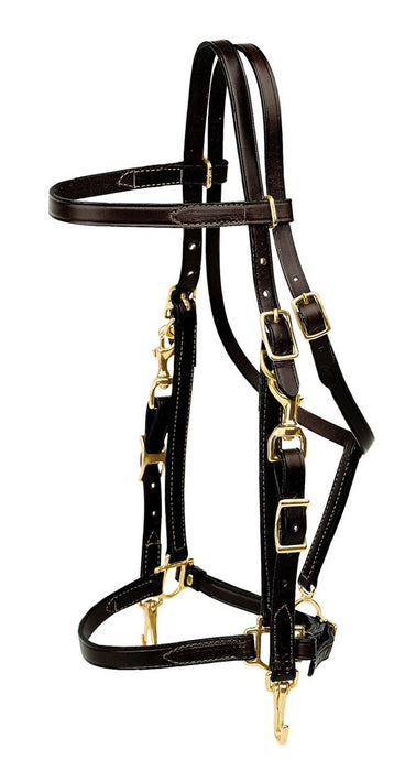 Tory Leather Halter Bridle Combo with Brass Hardware