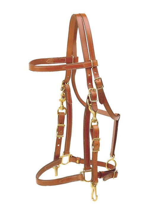 Tory Leather Halter Bridle Combo with Brass Hardware